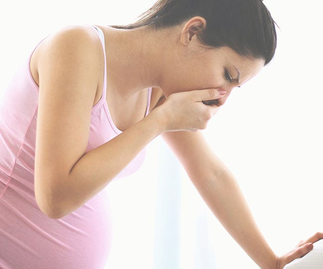 Morning Sickness Pregnancy What To Expect SMA Baby