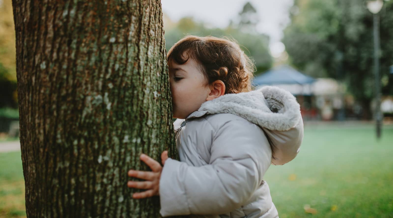 Toddler kissing a tree