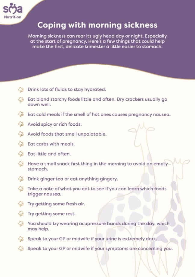 How to Cope with Morning Sickness - Pregnancy Checklist - PDF Preview